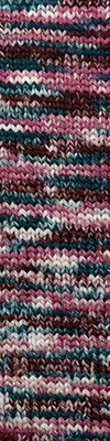 Cascade 128 Superwash Hand Paints 717 Rose Bush - Image 2