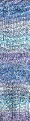 Cascade 220 Superwash Sport Wave 127 Blueberry - Image 2