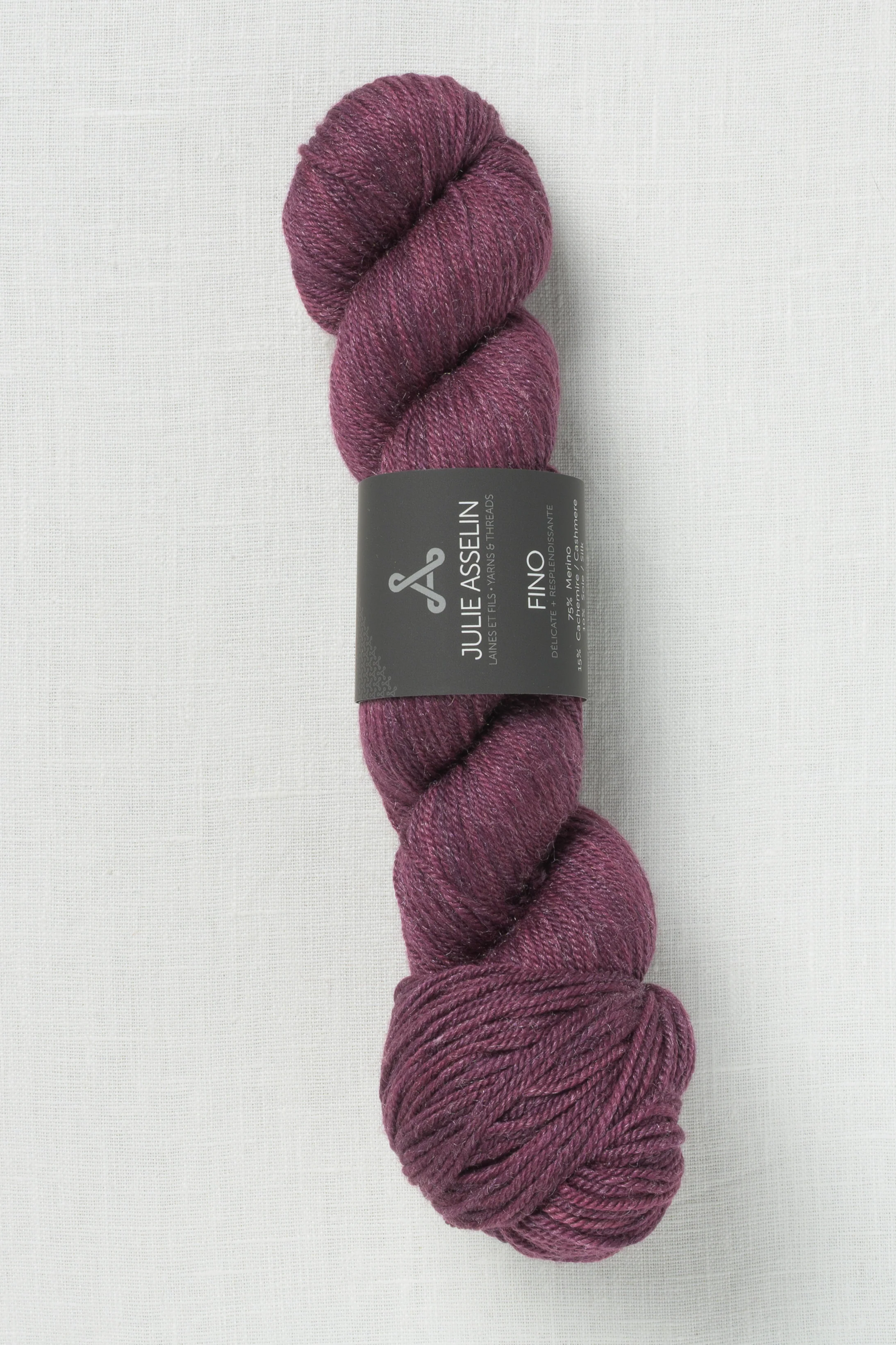 Julie Asselin Fino Alcott