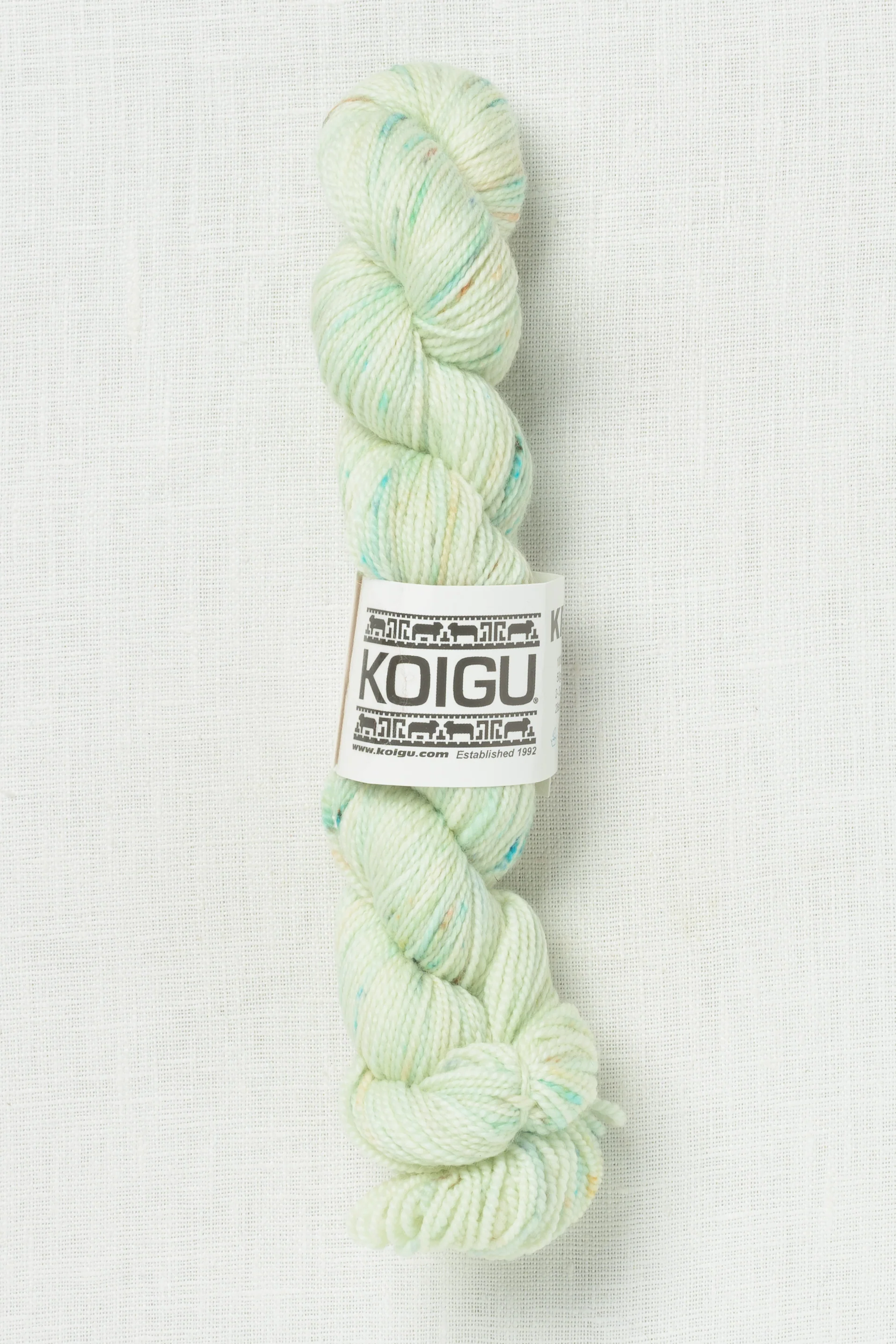 Koigu Painter's Palette Premium Merino KPPPM P058