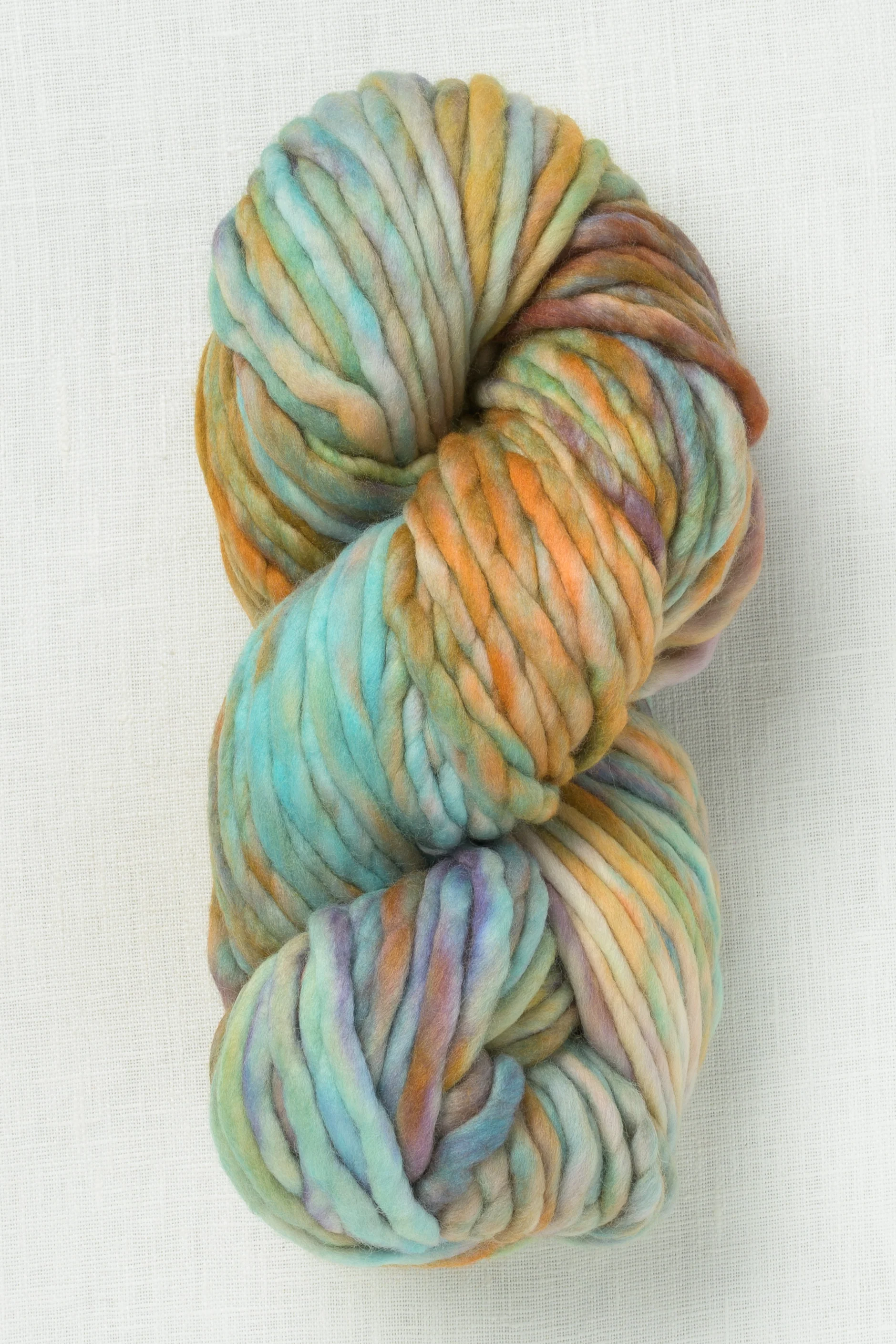 Malabrigo Rasta 274 Amphibian