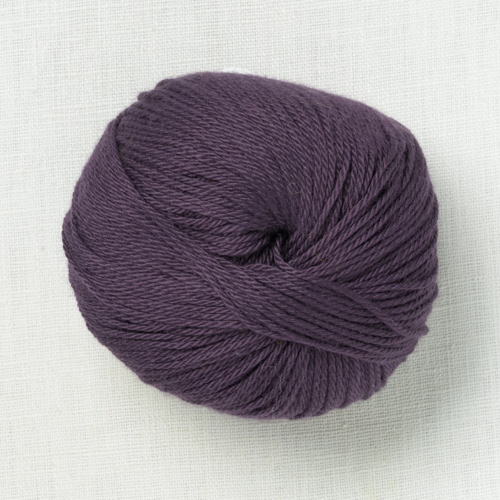 Pascuali Cumbria 343 Grape