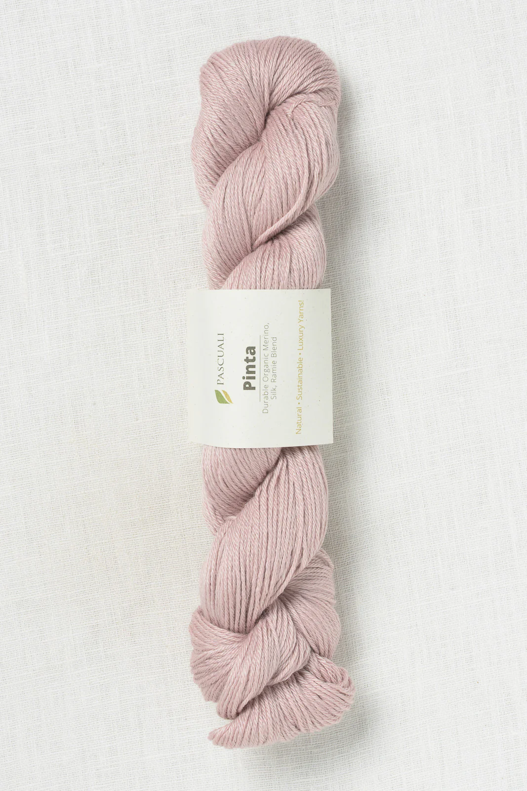 Pascuali Pinta 127 Rose