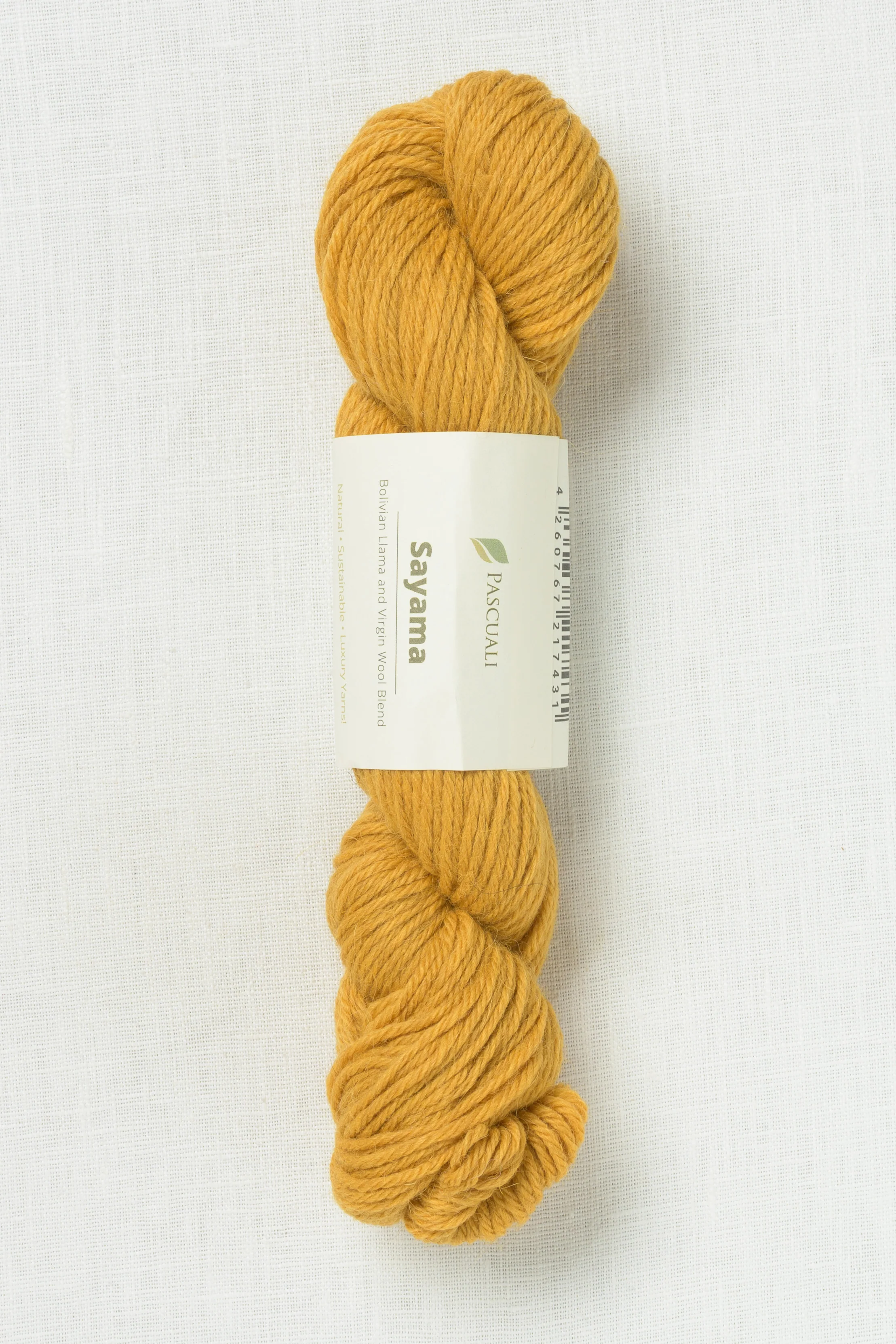 Pascuali Sayama 305 Curry