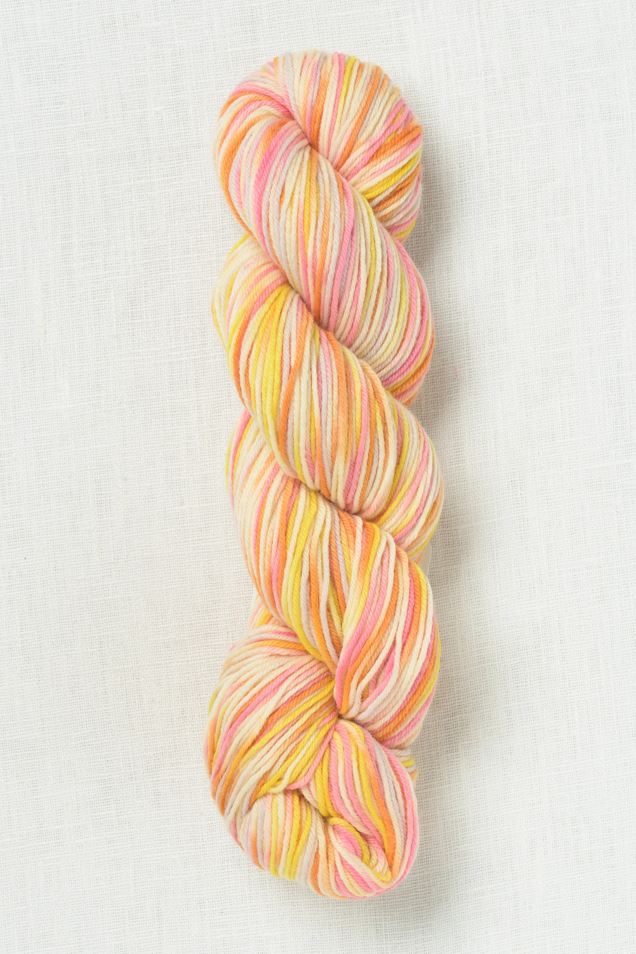 Quince & Co. Starling Sunrise